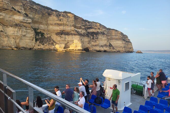 Cetacean Watching Tour - Who Will Enjoy This Tour?