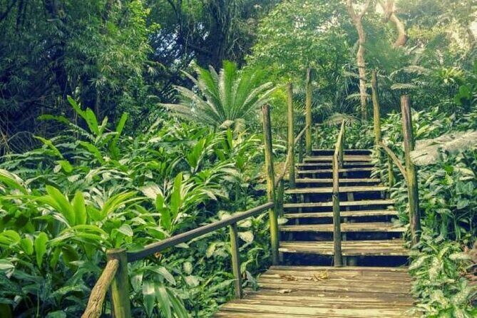 CFC APPROVED Roundtrip Transfer - Nadi Airport to Naviti & Warwick Resort - Final Thoughts: Who Will Benefit Most?