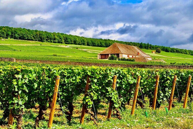 Chablis 20 Exquisite Wines Tasting Trip in Small-Group from Paris - Key Points