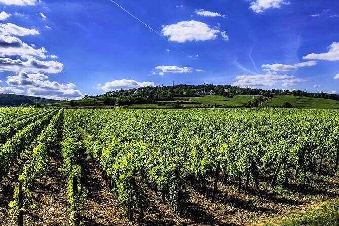Chablis 20 Exquisite Wines Tasting Trip in Small-Group from Paris - Why This Tour Works Well