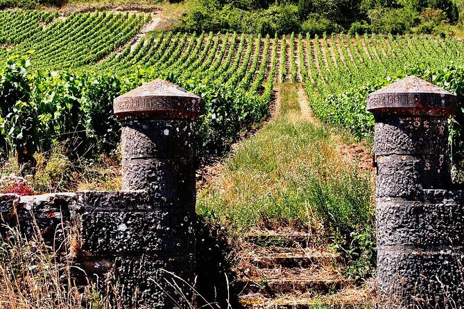 Chablis 20 Exquisite Wines Tasting Trip in Small-Group from Paris - Who Should Consider This Tour?