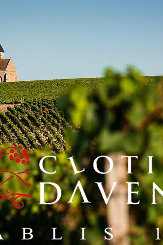 Chablis Clotilde Davenne visit and tasting in english - FAQs
