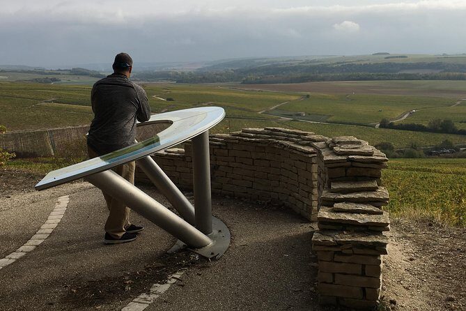 Chablis & Northern Burgundy Wine Tour - Who Should Consider This Tour?