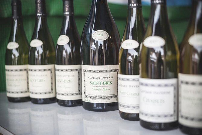 Chablis Tour and Tasting at Domaine Clotilde Davenne in French - Final Thoughts