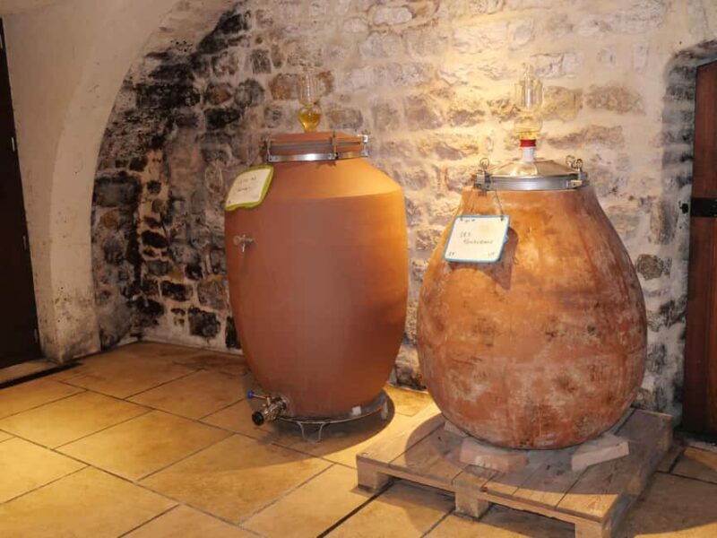 Chablis: Tour and tasting Family-run winery - A Detailed Look at the Chablis Family Winery Tour
