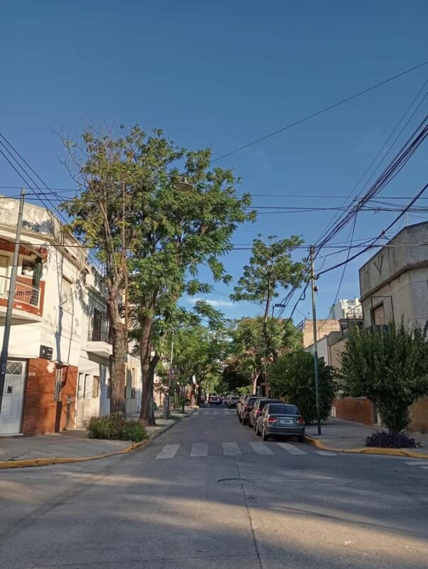 CHACARITA CEMETERY + PARQUE CHAS (LABYRINTH) - A Deep Dive into the Tour
