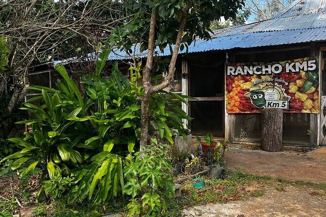 Chacchoben Ruins and Bacalar Lagoon Boat Tour - Key Points