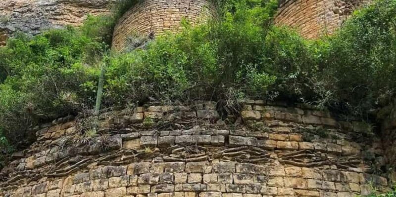 Chachapoyas: Kuelap and Macro Observation Day Trip - Who Should Consider This Tour?