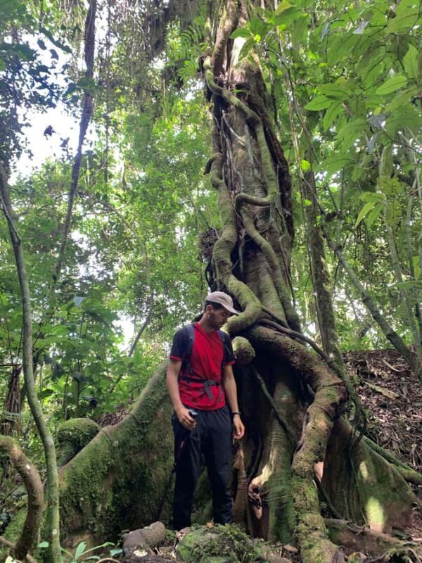 Chachapoyas: Yumbilla Waterfall | Jewels of Chachapoyas - Final Verdict