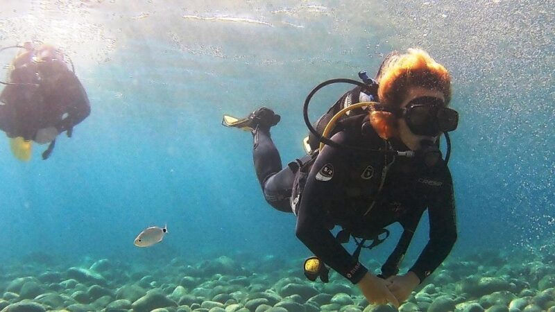 Chalkidiki: Scuba Diving for Beginners in Kassandra - Key Points