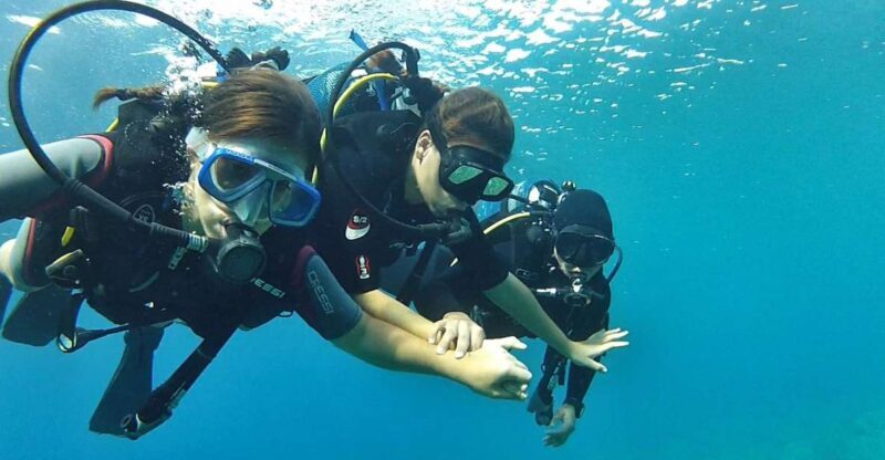 Chalkidiki: Scuba Diving for Beginners in Kassandra - What Makes This Experience Stand Out?