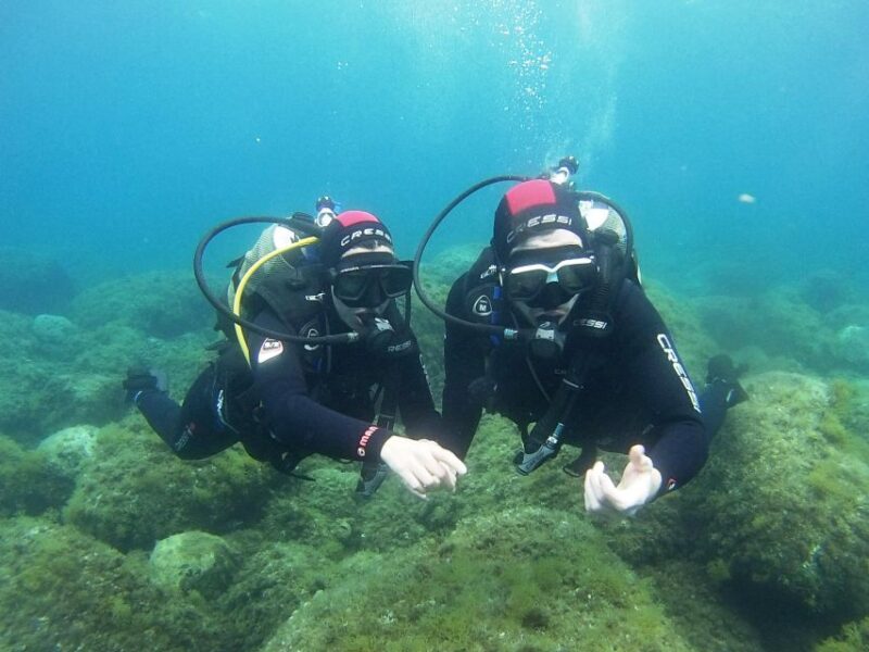 Chalkidiki: Scuba Diving for Beginners in Kassandra - Frequently Asked Questions