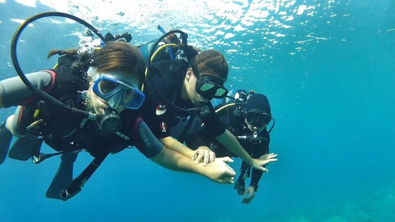 Chalkidiki: Scuba Diving for Beginners in Kassandra - Similar Experiences to Consider