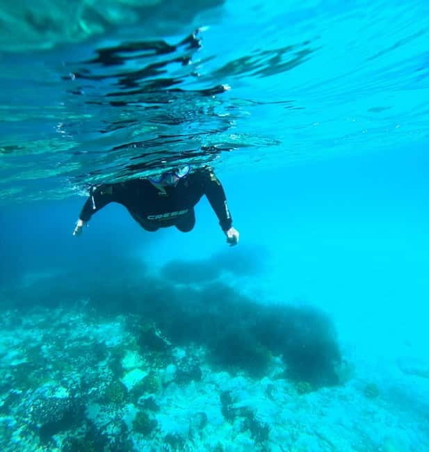 Chalkidiki: Snorkeling Adventure in Sithonia - Chalkidiki: Snorkeling Adventure in Sithonia — A Deep Dive into Clear Waters and Marine Magic