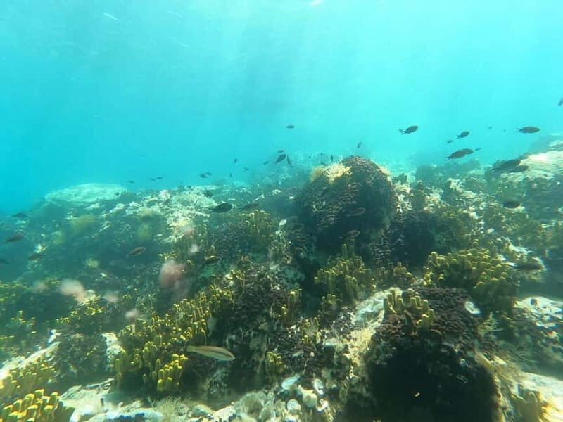 Chalkidiki: Snorkeling Adventure in Sithonia - Final Thoughts