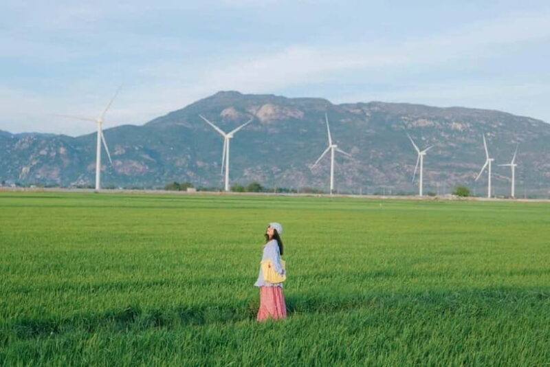 Cham Culture & Coastal Beauty: Ninh Thuan Full-Day Tour - The Enchantment of Nam Cuong Sand Dunes