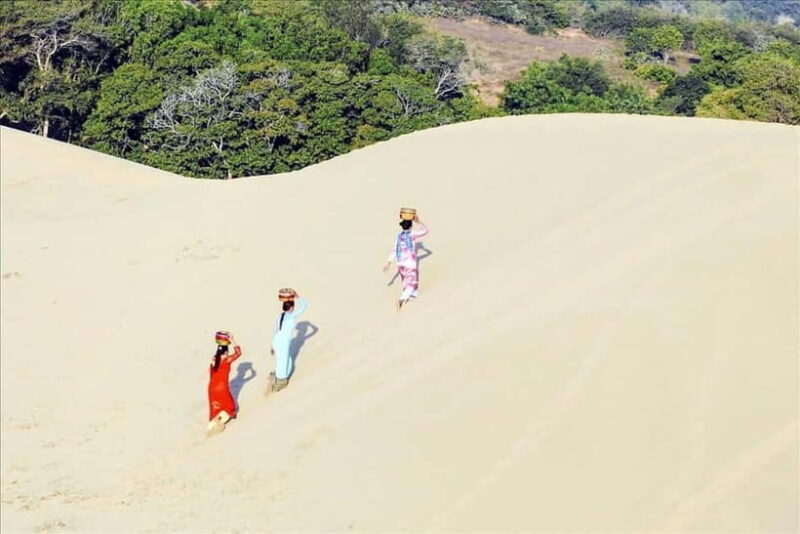 Cham Culture & Coastal Beauty: Ninh Thuan Full-Day Tour - Practical Tips and Considerations