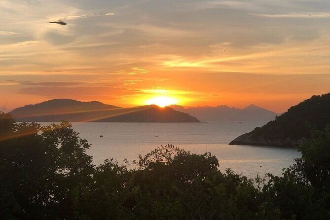 Cham Island Daily-Snorkeling(Optional:Pick up at Cua Dai Port) - The Sum Up: Who Will Love This Tour?