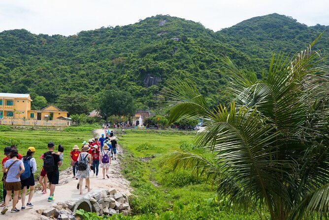Cham Island Day Tour from Hoi An with Group tour - Key Points