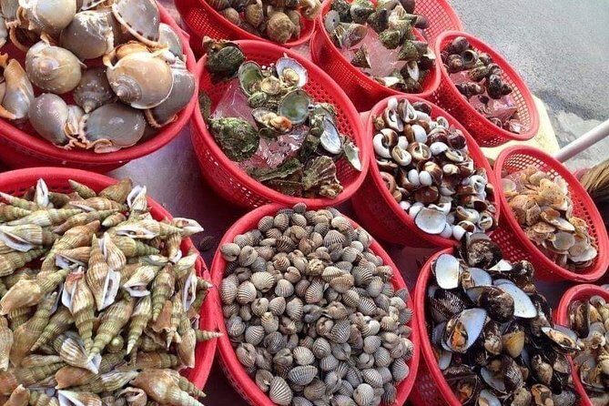 Cham Island Day Tour & Snorkeling from Hoi An with Group tour - Considerations and Caveats