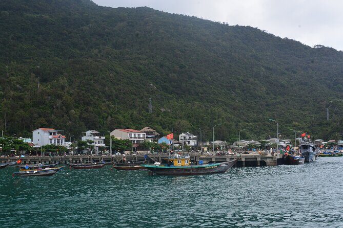 Cham Island Day Tour: Speed Boat, Lunch, Snorkeling & Beach - Frequently Asked Questions