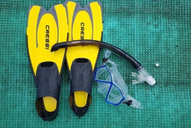 Cham Island Exploration Tour and Swimming with Local Guide - What Travelers Love (and Less Love)