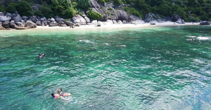 Cham Island: Snorkeling Tour - What to Expect from the Cham Island Snorkeling Tour