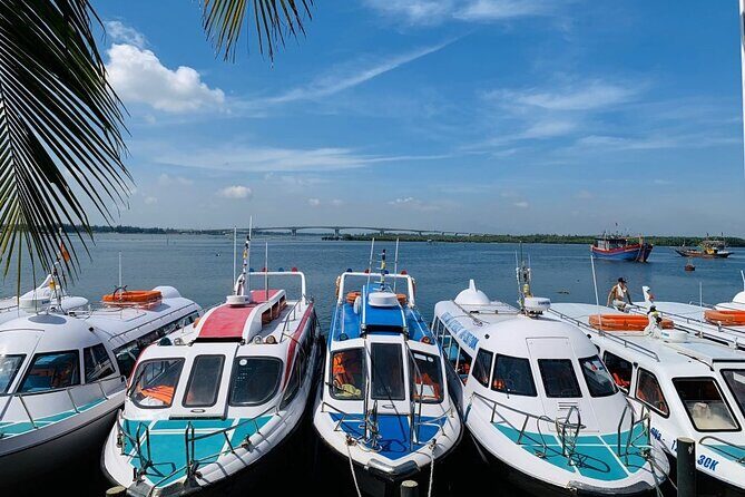 Cham Island Trip by Speed Boat including Snorkeling from Hoi An or Da Nang - Exploring the Cham Islands by Speedboat: A Balanced Look at the Experience