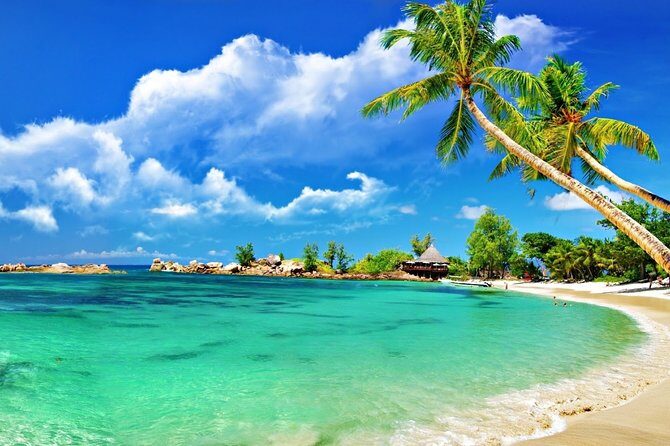 Cham Island Trip by Speed Boat including Snorkeling from Hoi An or Da Nang - FAQ