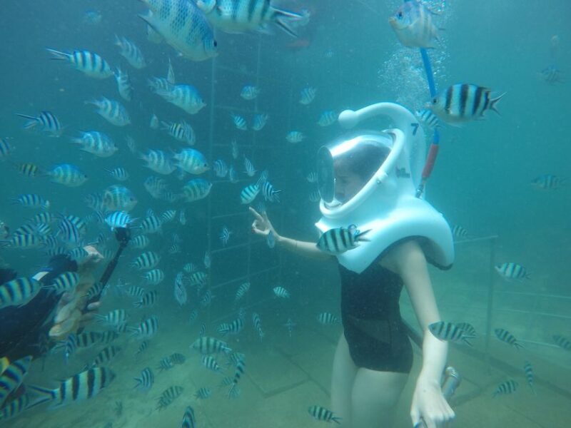 Cham Island: Underwater Walking & Snorkeling Tour - Key Points