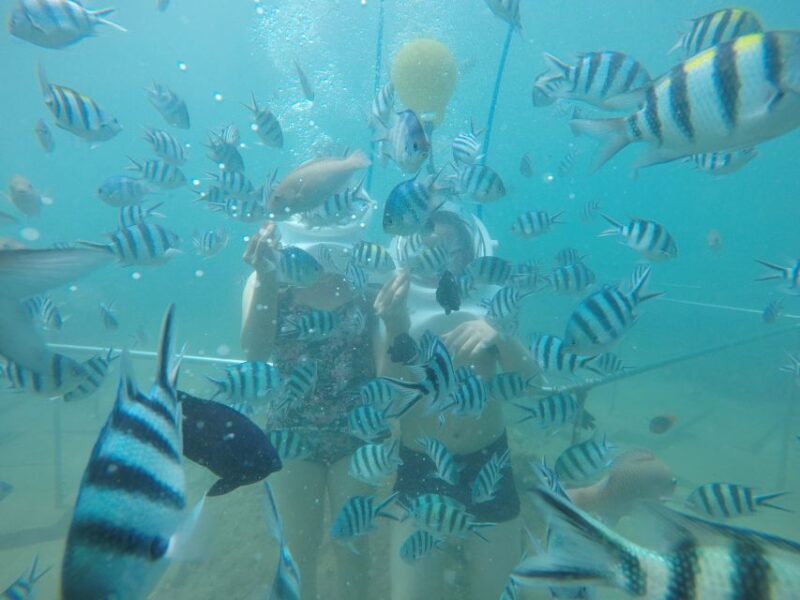 Cham Island: Underwater Walking & Snorkeling Tour - Why This Tour Offers Good Value