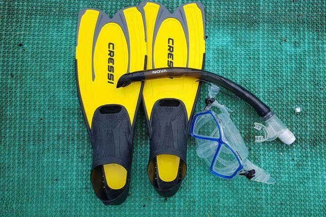 Cham Islands Snorkeling Tour by SpeedBoat from Da Nang - Starting Out: Convenience and Comfort