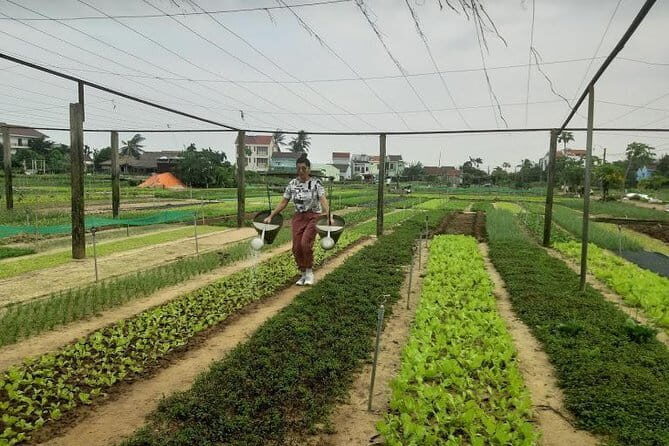 Cham Islands Snorkeling Trip by Speedboat from Hoi An/DaNang - Final Thoughts