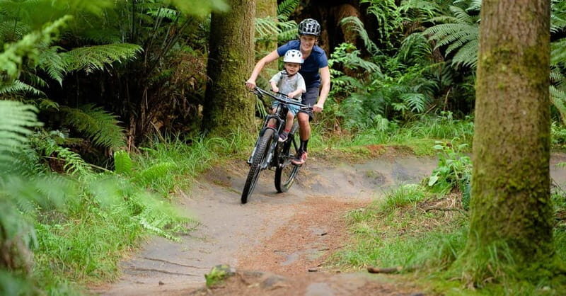 Chambéry : Electric Mountain Bike rental - Final Thoughts