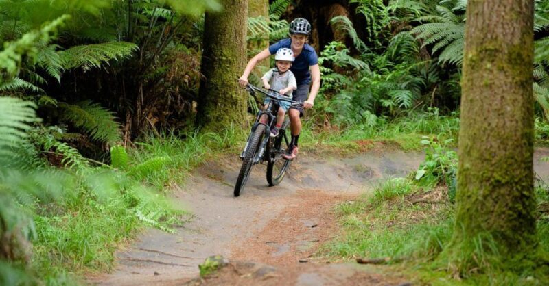 Chambéry : Electric Mountain Bike rental - FAQ