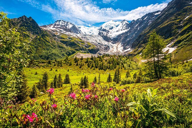 Chamonix and Mont Blanc Private Day Trip from Geneva - FAQs