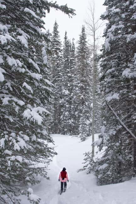 Chamonix: Snowshoeing under the stars - Key Points
