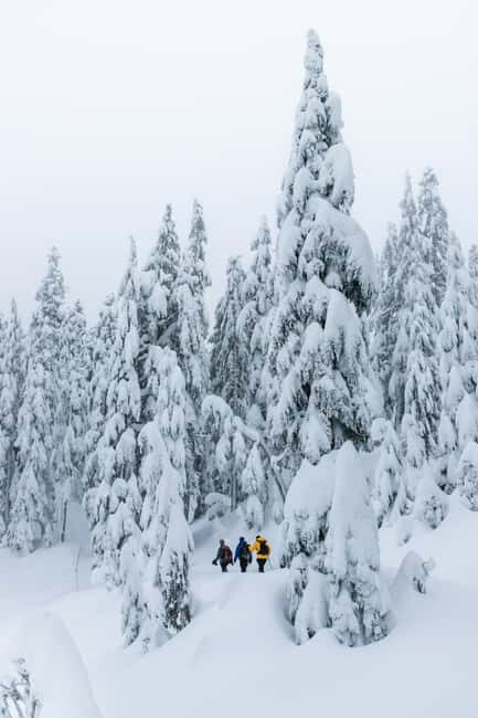 Chamonix: Snowshoeing under the stars - An In-Depth Look at the Snowshoeing Under the Stars Tour