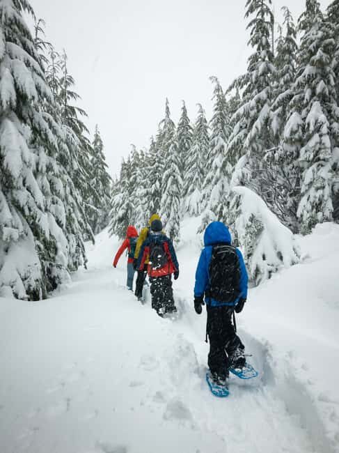 Chamonix: Snowshoeing under the stars - Authentic Experiences Highlighted by Travelers