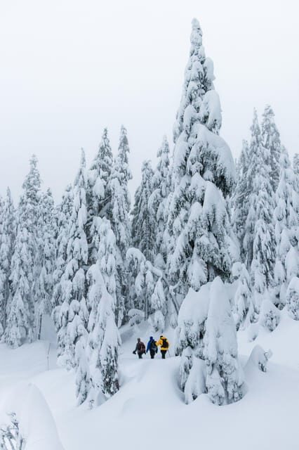 Chamonix: Snowshoeing with Local Cheese & Wine Tasting - Discovering Chamonix: Snowshoeing with Local Cheese & Wine Tasting