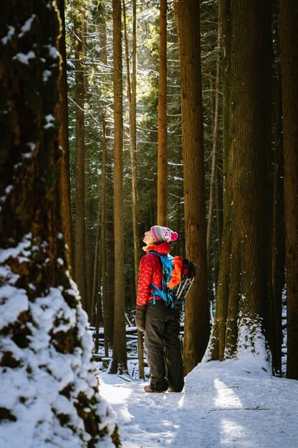 Chamonix: Snowshoeing with Local Cheese & Wine Tasting - Key Points