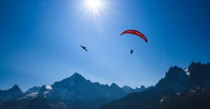 Chamonix: Tandem Paragliding Flight with Mont-Blanc Views - Setting the Stage: From Meeting to Takeoff
