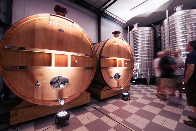 Champagne Albert Beerens Tour & Tasting - Who Will Love This Tour?