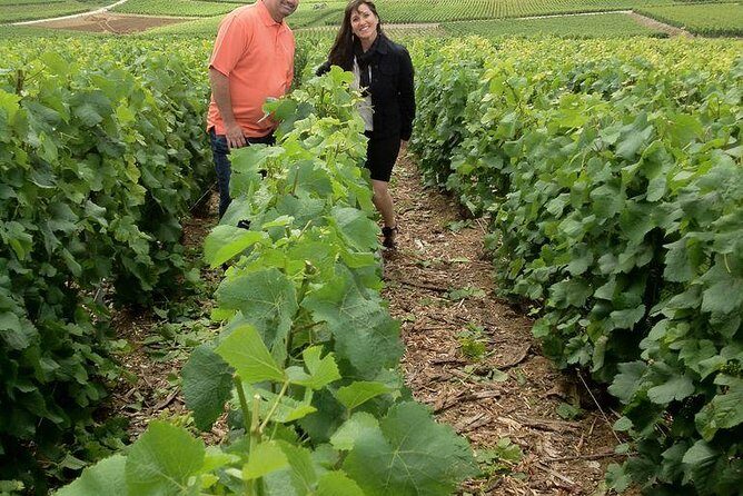 Champagne Area Small-Group Tour including a Top Champagne house & Family Winery - Overall Value and Considerations