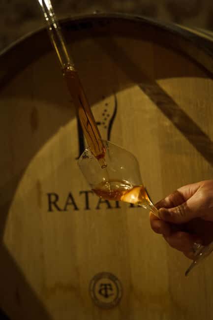Champagne Cellar Experience: Explore our historic cellars - Key Points