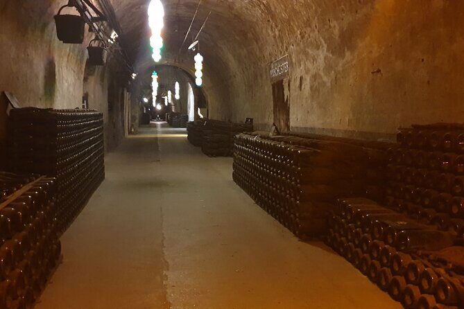 Champagne Day tour with Veuve Clicquot and 2 other big wineries - Who Will Love This Tour?