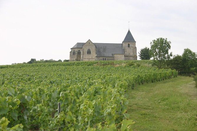 Champagne Day Tours - An In-Depth Look at the Champagne Day Tour