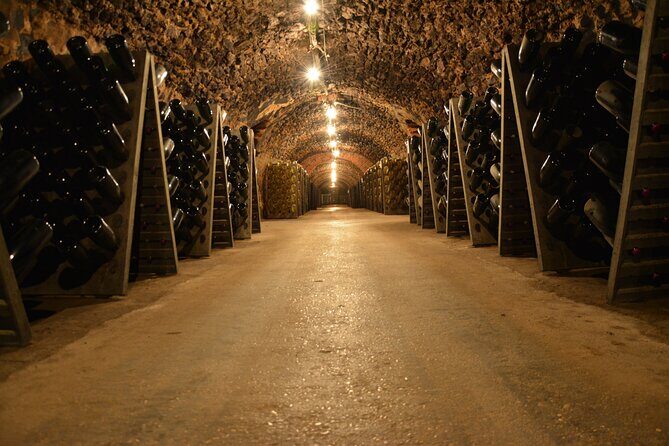 Champagne experience with a vintage van from Epernay - 3 hours - A Deep Dive into the Champagne Experience in Épernay