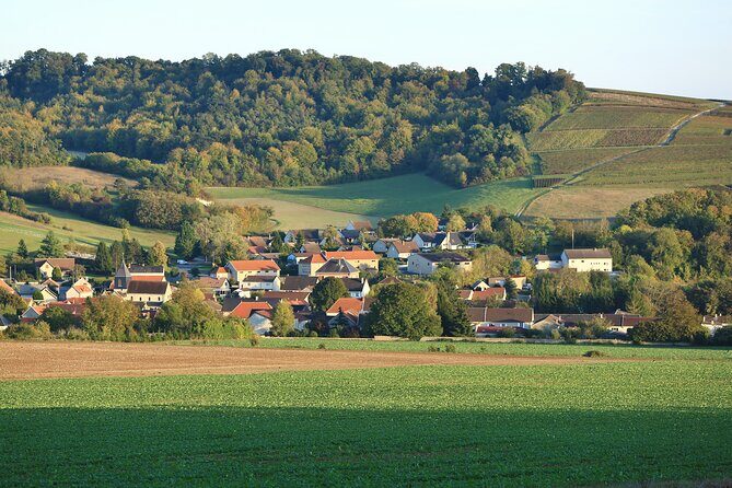 Champagne Guy De Chassey : Premium Tour and Tasting - Exploring the Champagne Guy De Chassey Experience