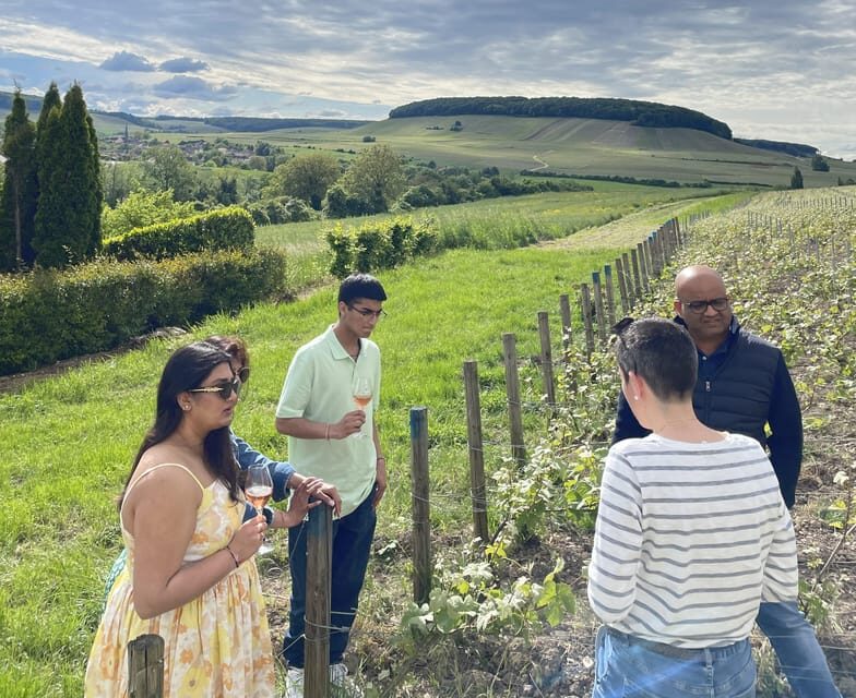 Champagne Munoz Bruneau : Half Day Visit and Tasting - What You Should Consider